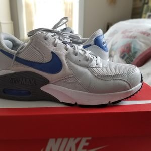 Nike Air Max sneaker grey with blue and black.